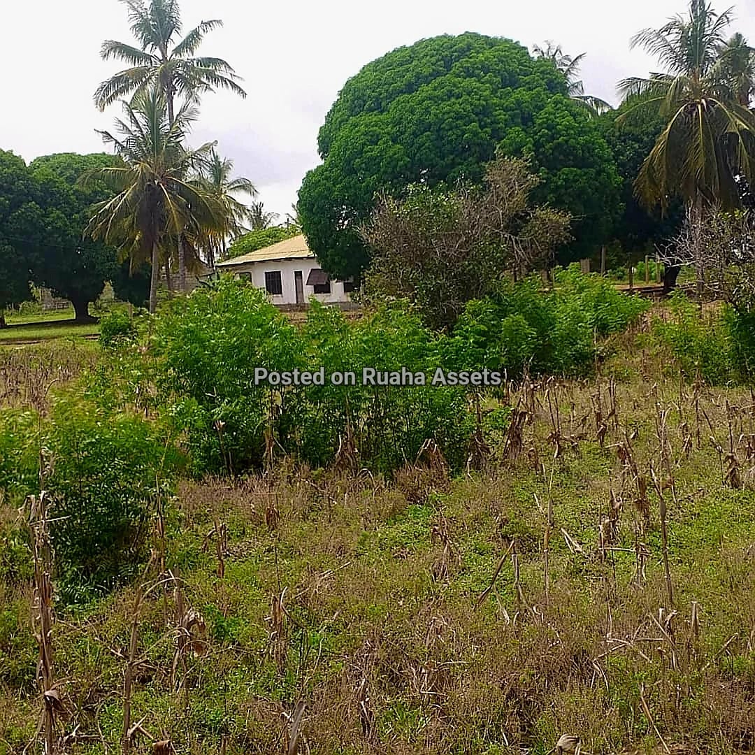 Plot Near Beach mbutu kigamboni image 2