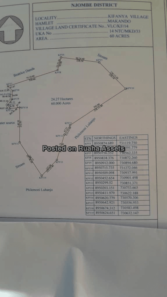 Tea Plantation for Sale image 5