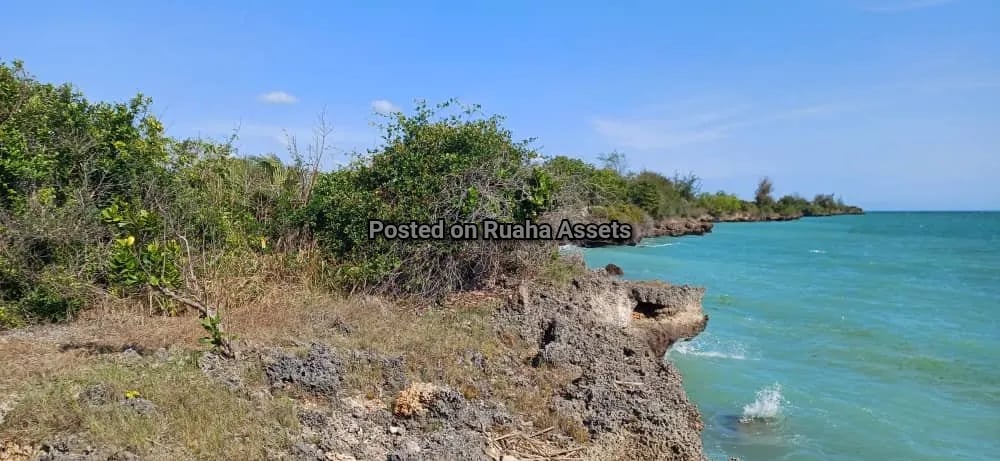 14 acres Beach Plot for Sale in Zanzibar image 3