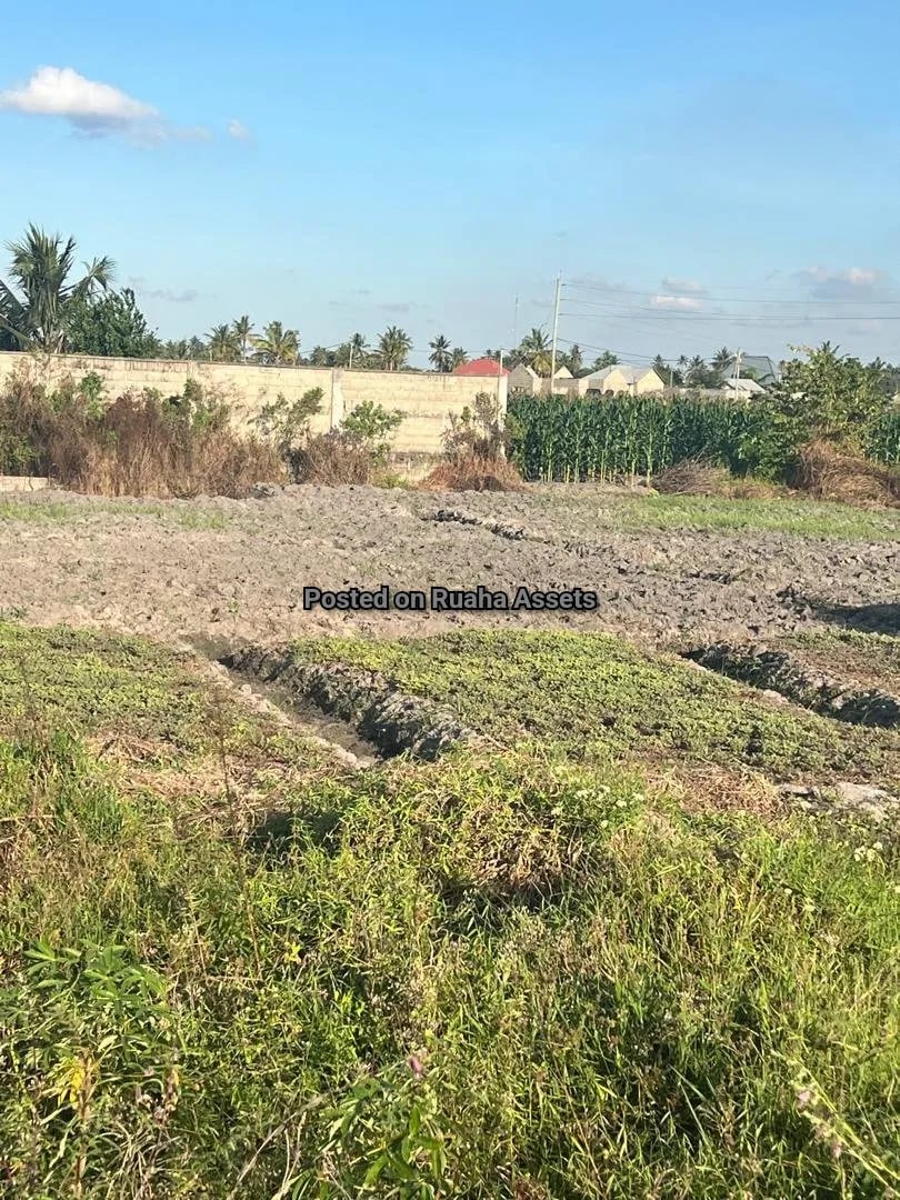 Eneo linauzwa Chanika image 1