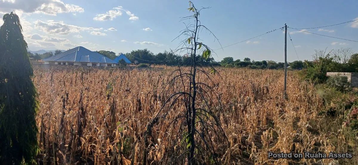 Big Plot near Kilimanjaro international Airport for sale image 2