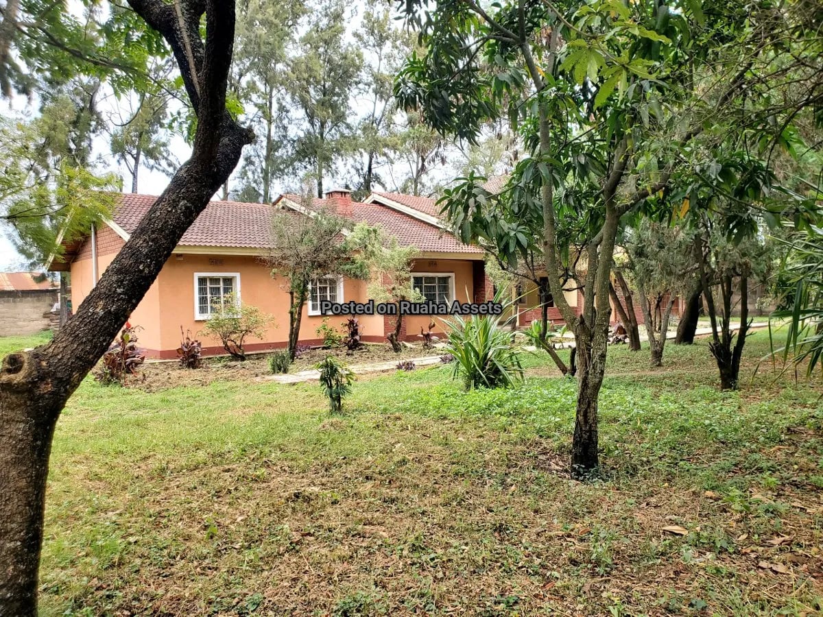 Flat on 1 acre plot for Sale at Majengo, Arusha image 1