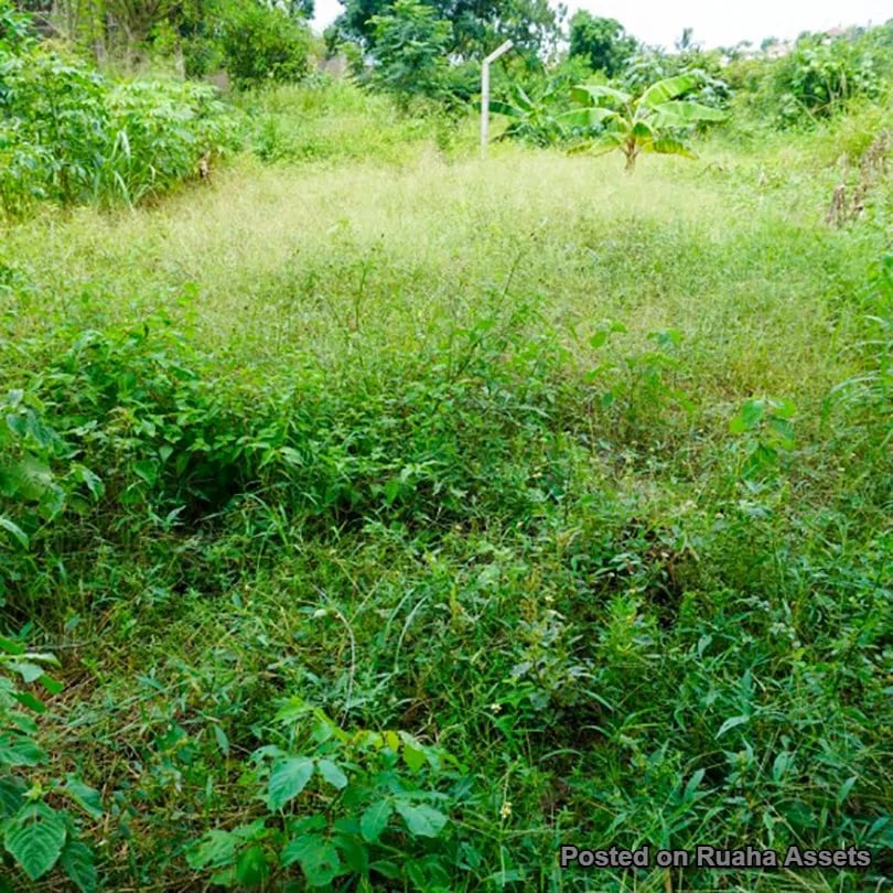 Residential & Commercial Plot for Sale image 2