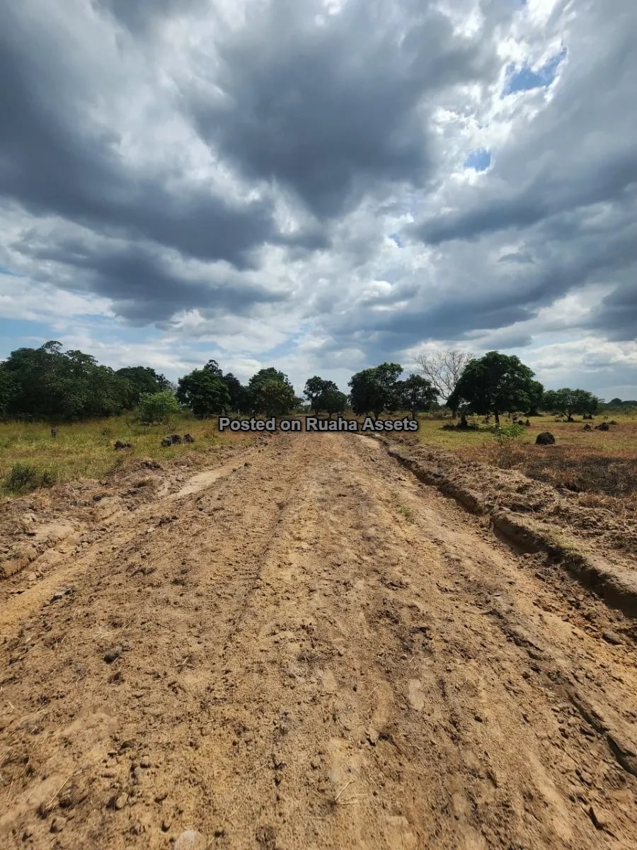 SURVEYED PLOTS FOR SALE AT BAGAMOYO – MAKURUNGE image 3