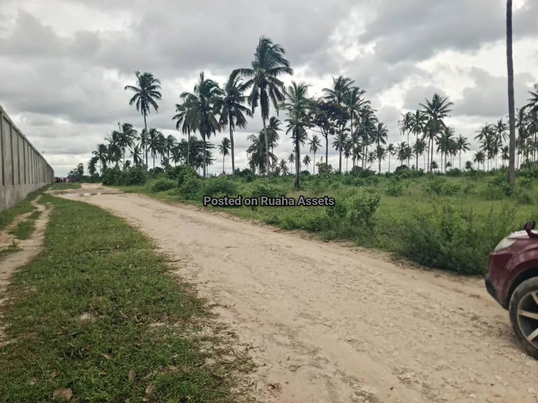 Industrial Plot for Sale at Mkuranga image 4