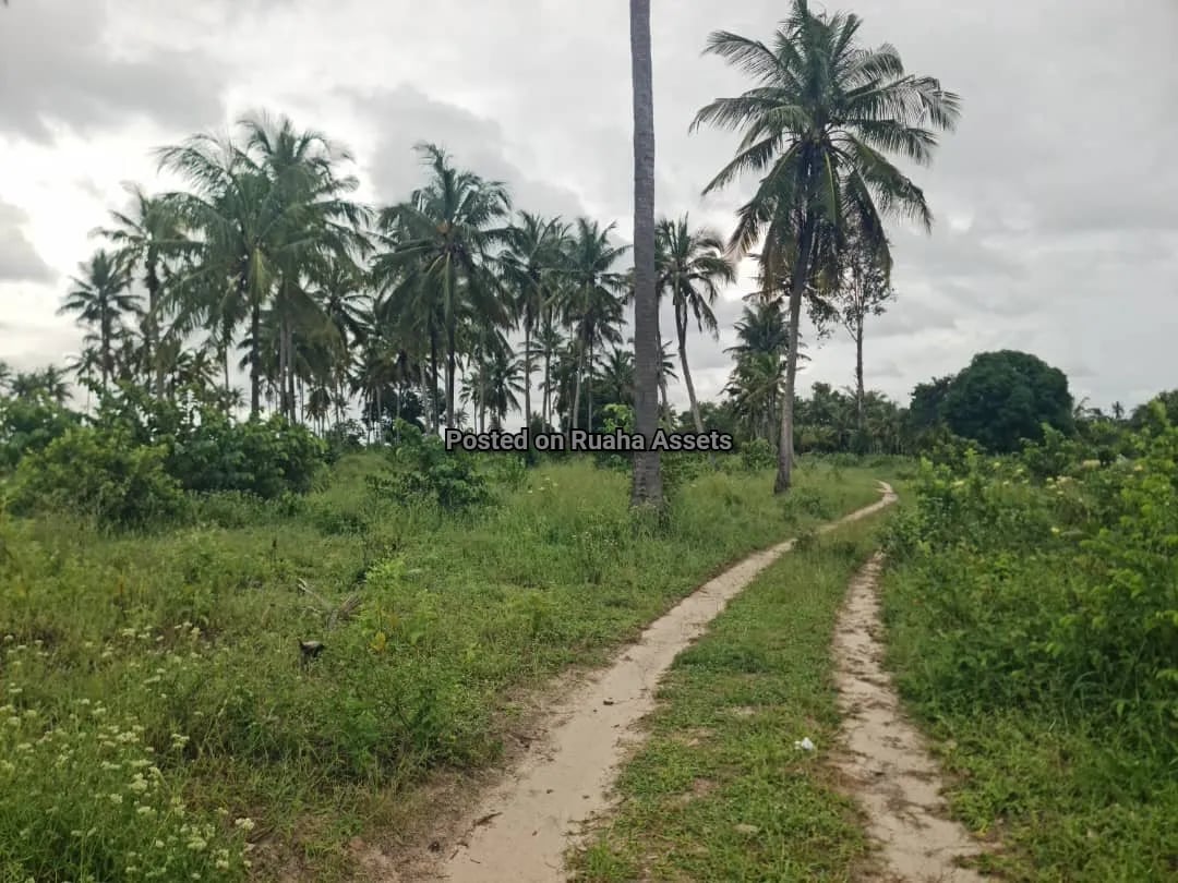 Industrial Plot for Sale at Mkuranga image 2