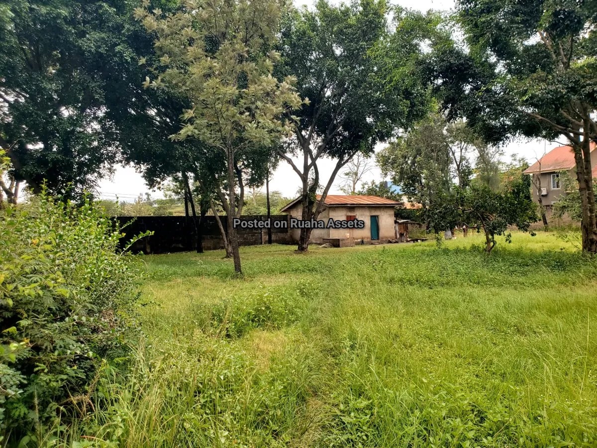 Flat on 1 acre plot for Sale at Majengo, Arusha image 3