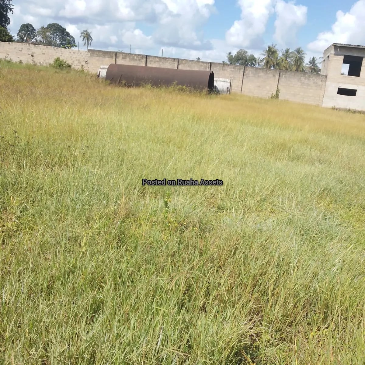 Warehouse for lease at Misugusugu image 7